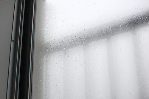 窓の雨