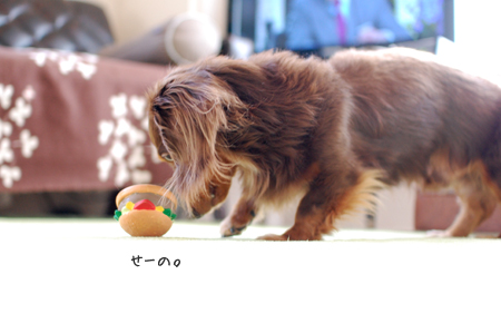 2012031302.jpg