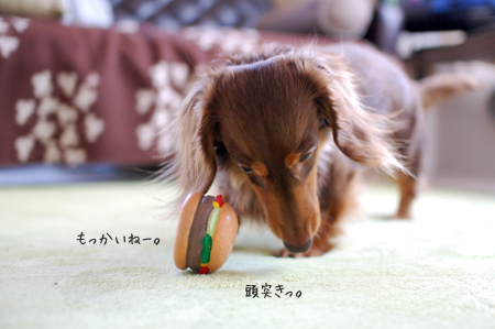 2012031305.jpg