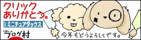  にほんブログ村｜犬ブログ｜ミニチュアダックスフンドへ