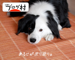 にほんブログ村 犬ブログへ