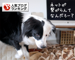 人気犬ブログランキングへ