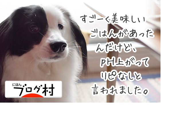 にほんブログ村 犬ブログランキング