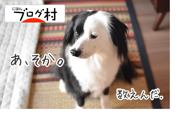 にほんブログ村 犬ブログランキング