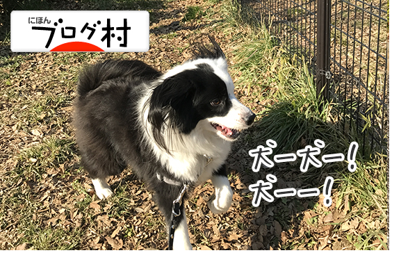 にほんブログ村 犬ブログランキング