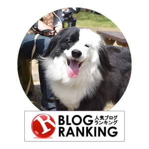 人気犬ブログランキング